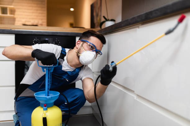 Best Bed Bug Extermination  in Eastmont, WA
